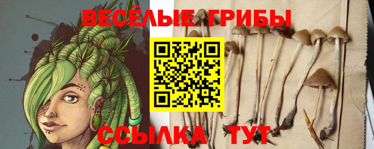 Псилоцибиновые грибы Cubensis  Псилоцибиновые грибы MAGIC MUSHROOMS  Протвино  Вход с VPN 